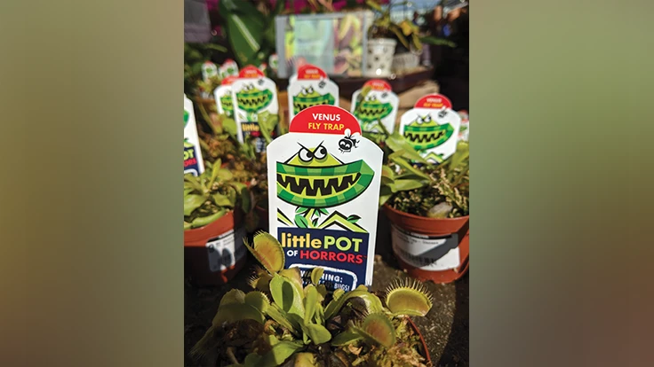 Several small plants with tags that read Little Pot of Horrors.