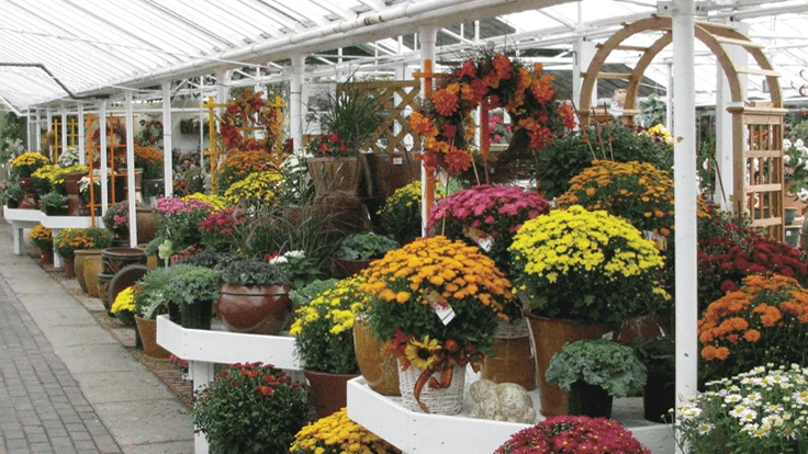 Inside of greenhouse